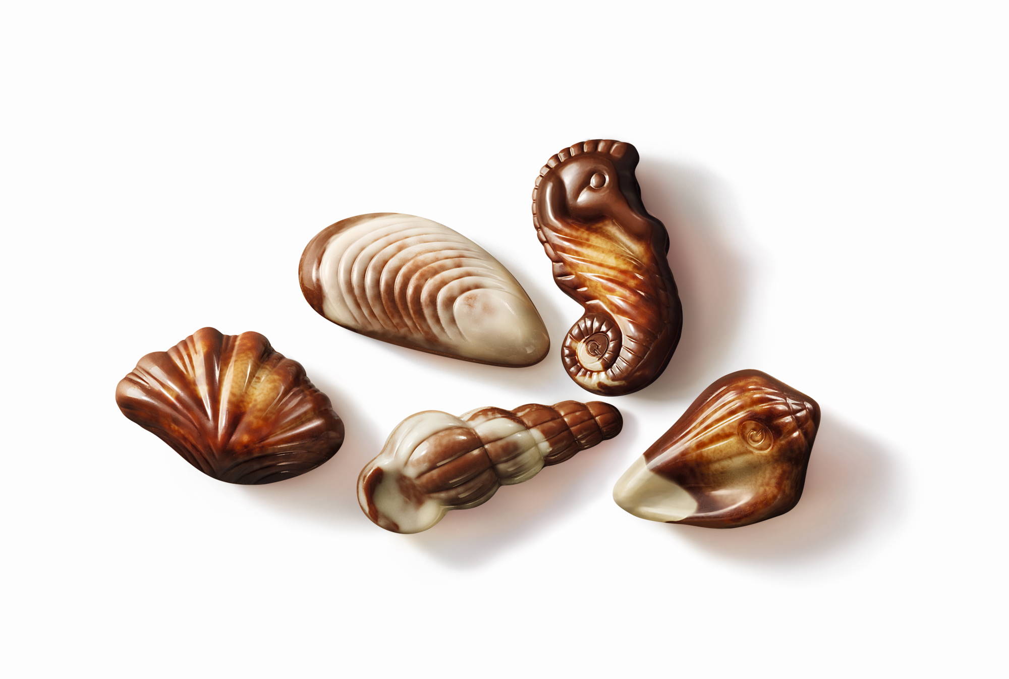 Guylian seashells